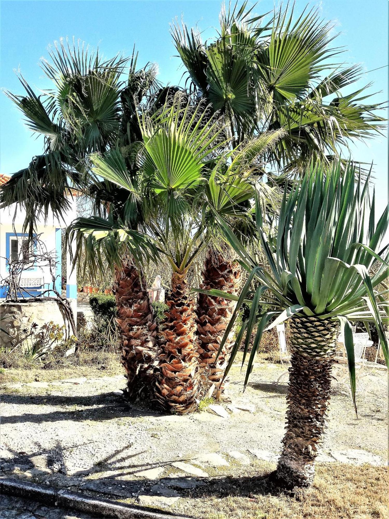 Água Rocha Villa Serra de Mangues Camera foto